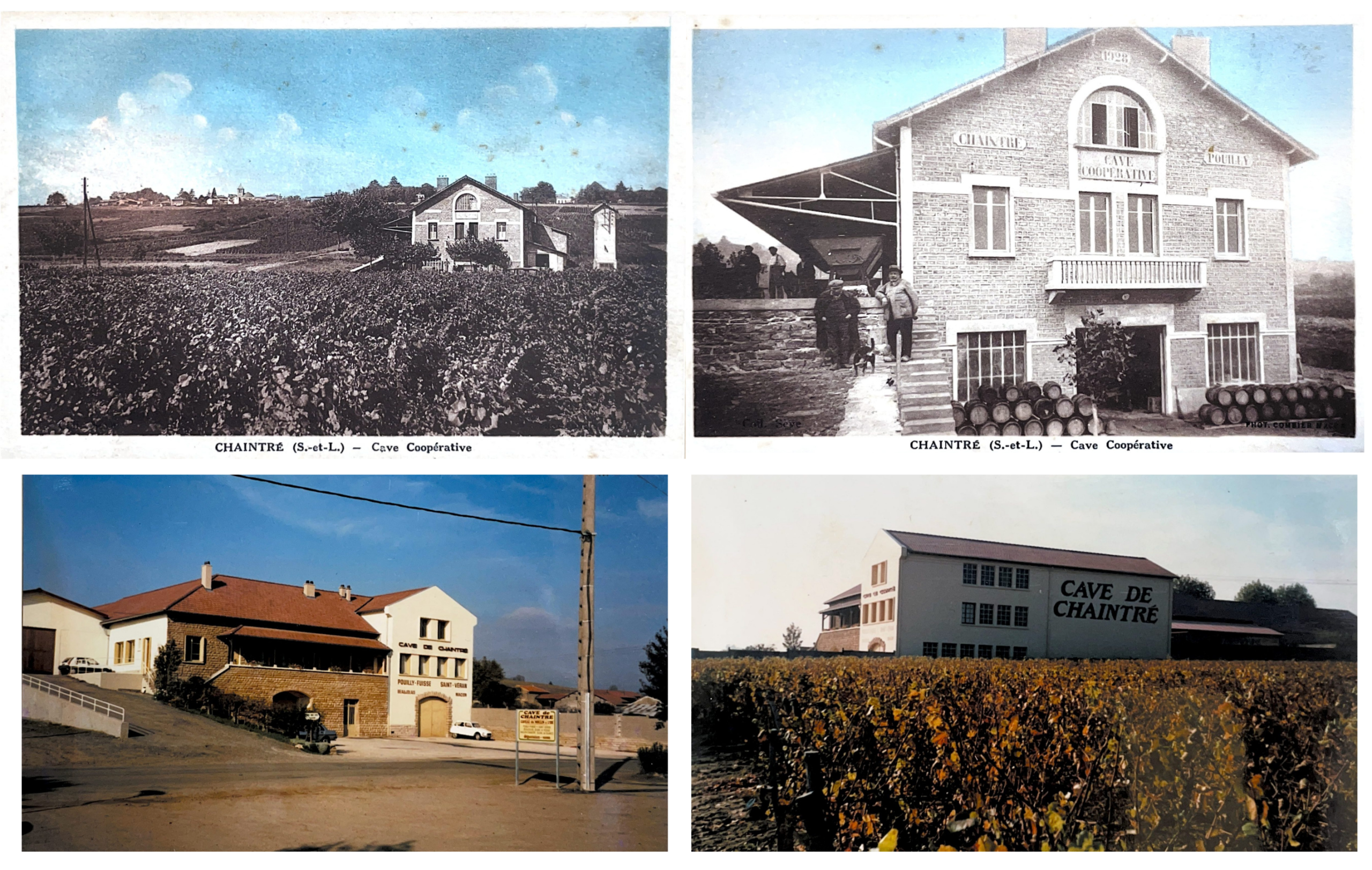 Content Timeline Image