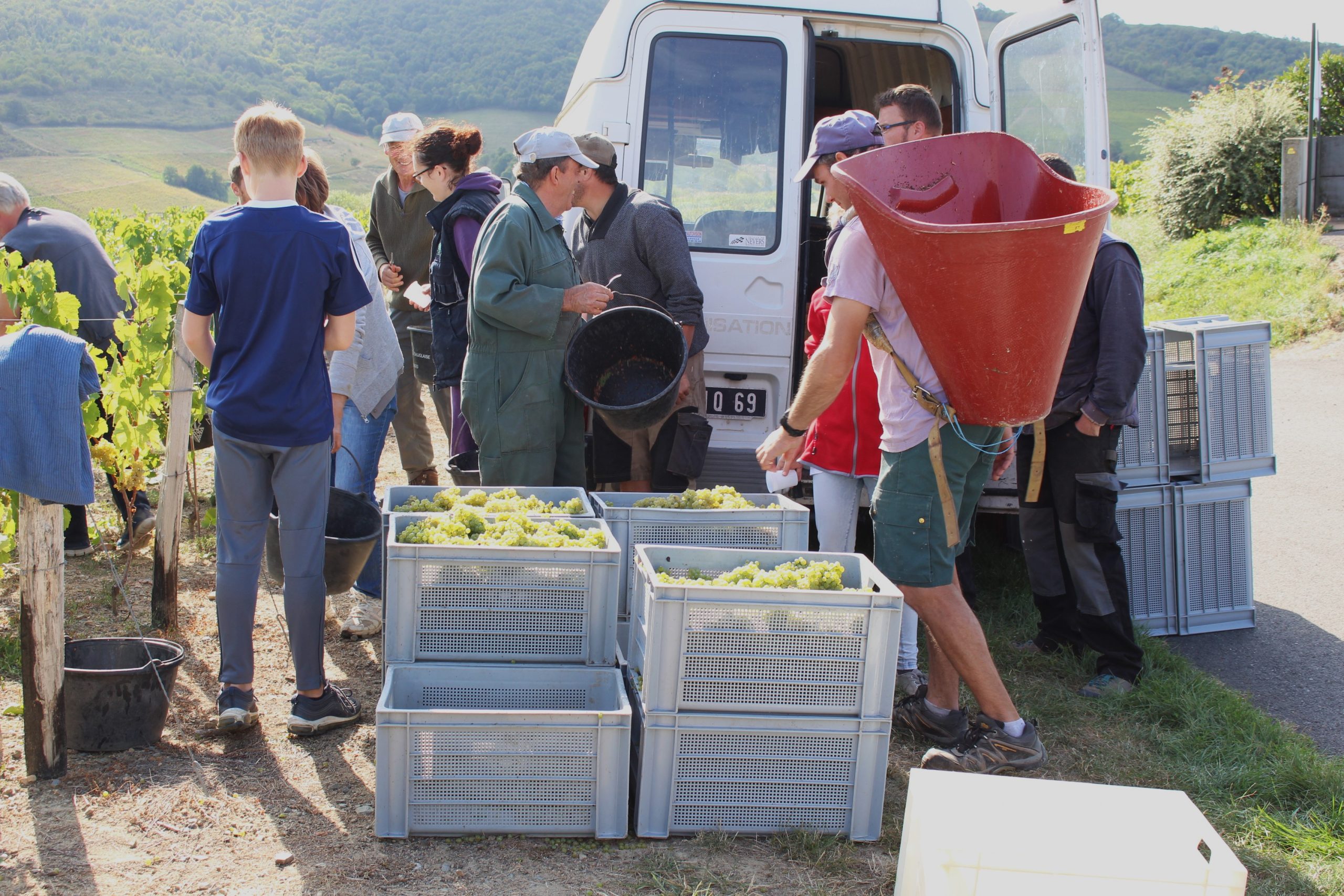 Vendanges 2019