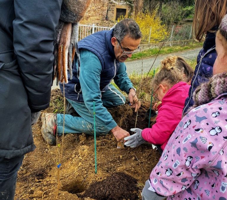 Démarche RSE : plantation de haies en partenariat avec l&rsquo;école de Juliénas